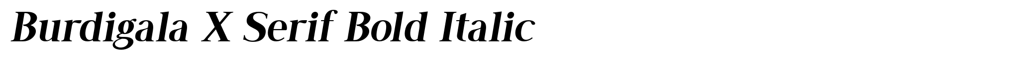 Burdigala X Serif Bold Italic image